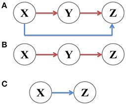 Noise Decomposition Principle in a Coherent Feed-Forward Transcriptional Regulatory Loop